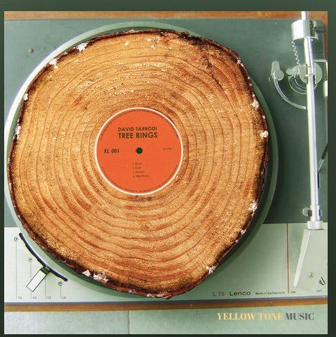 David Tarrodi - Tree Rings